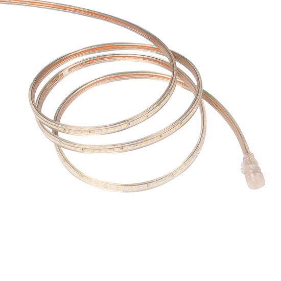 Tira de luz LED Cinta LED impermeable 12V SMD 2835 3535 5050 Kit de tira de luz de neón flexible