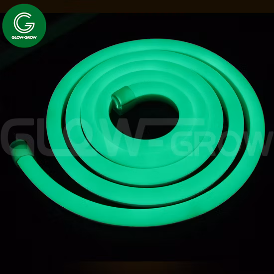 12V/24V impermeable IP67 8*16mm luz de neón LED de silicona SMD2835 tira de neón Flexible Flex para decoración
