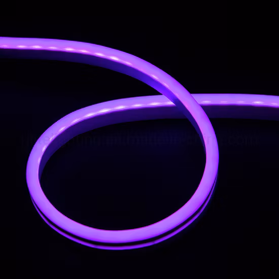 LED de alto brillo Neon Flex 120LED/M IP65 para iluminación decorativa